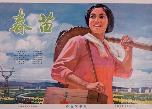 信州大学graduationcertificate